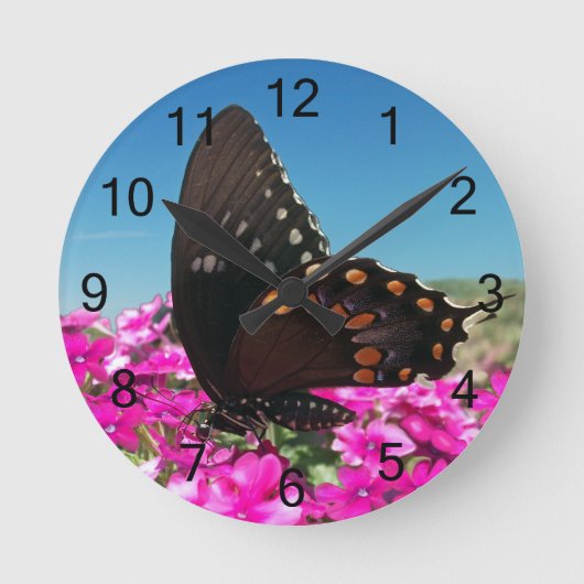 Spicebush Frack Butterfly Runde Wanduhr (Vorderseite)