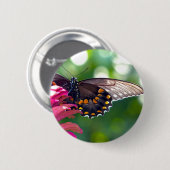 Spicebush-Frack Button (Vorne & Hinten)