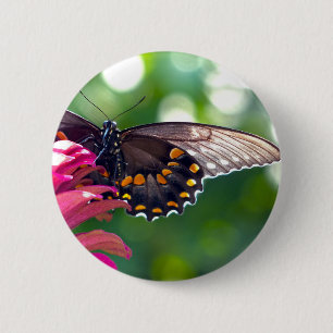 Spicebush-Frack Button