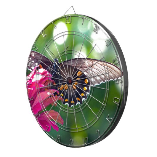 Spicebush-Frack Dartscheibe (Vorderseite rechts)