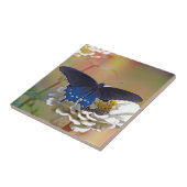 Spicebush-Frack Fliese (Seite)