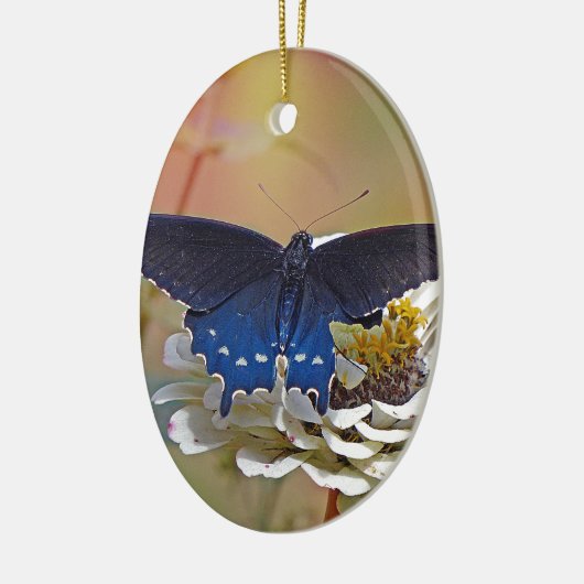 Spicebush-Frack Keramik Ornament (Links)