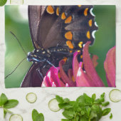 Spicebush-Frack Küchentuch (Gefaltet)