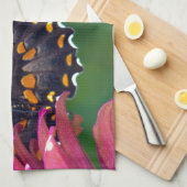 Spicebush-Frack Küchentuch (Viertel Falte)