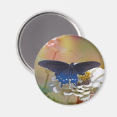 Spicebush-Frack Magnet (Vorderseite/Rückseite)