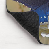 Spicebush-Frack Mousepad (Ecke)