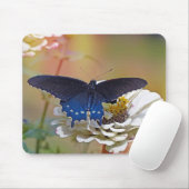 Spicebush-Frack Mousepad (Mit Mouse)