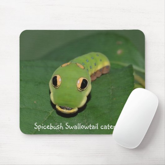 Spicebush Frack-Raupe Mousepad (Mit Mouse)