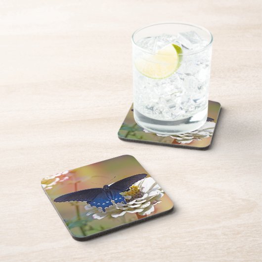 Spicebush-Frack Untersetzer (Rechte Seite)