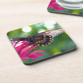 Spicebush-Frack Untersetzer (Linke Seite)