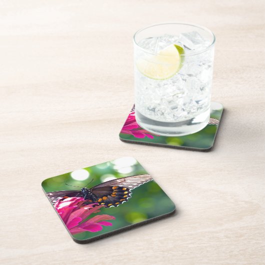 Spicebush-Frack Untersetzer (Rechte Seite)