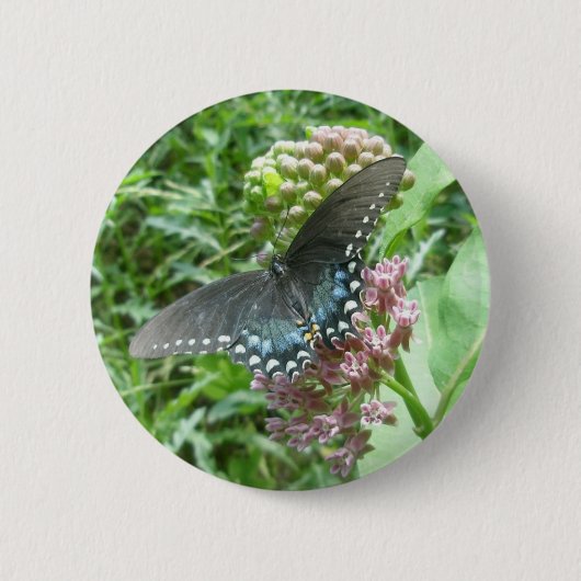 Spicebush Frau-Knopf Button (Vorderseite)