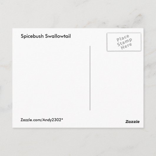 Spicebush-Schmetterling ~ Postkarte (Rückseite)