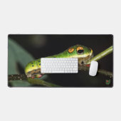 Spicebush Swallowtail Caterpillar Schreibtischunterlage (Tastatur & Maus)
