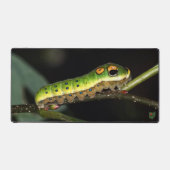 Spicebush Swallowtail Caterpillar Schreibtischunterlage (Vorderseite)