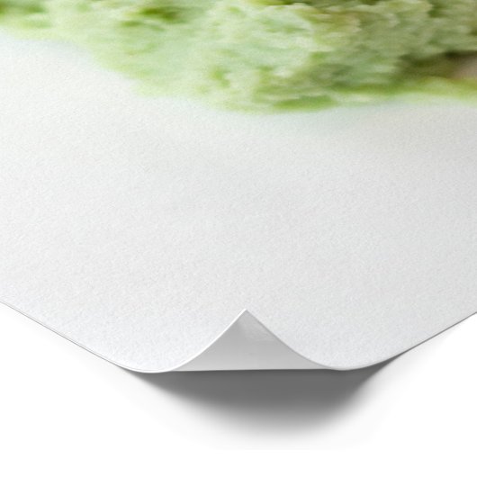 Spicy Crab Sushi Poster (Ecke)