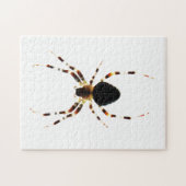 Spider 11x14 252pc jpcnm puzzle (Horizontal)