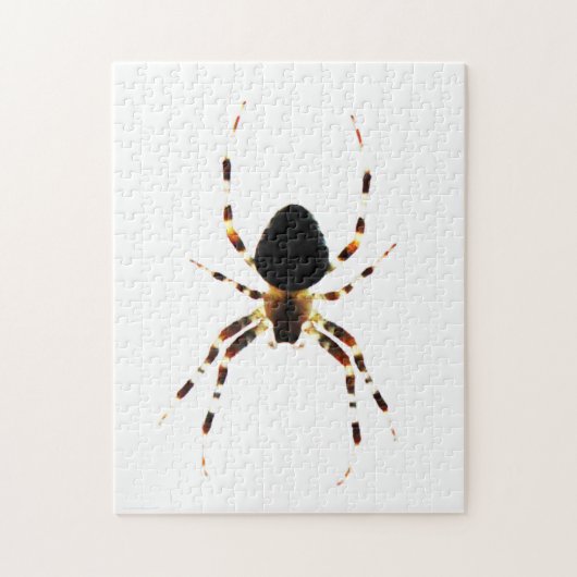 Spider 11x14 252pc jpcnm puzzle (Vertikal)