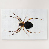 Spider 20x30 1014pc jpm puzzle (Horizontal)