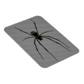 Spider 3"x4" Magnet (Rechte Seite)