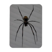 Spider 3"x4" Magnet (Vertikal)