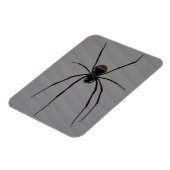 Spider 3"x4" Magnet (Linke Seite)