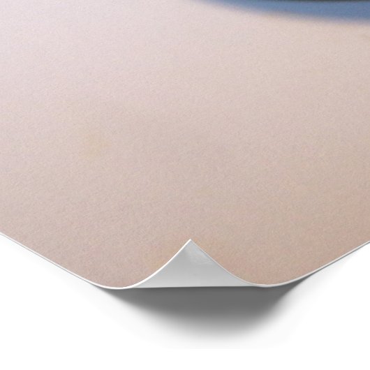 Spider Ball Python Poster (Ecke)