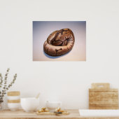 Spider Ball Python Poster (Küche)