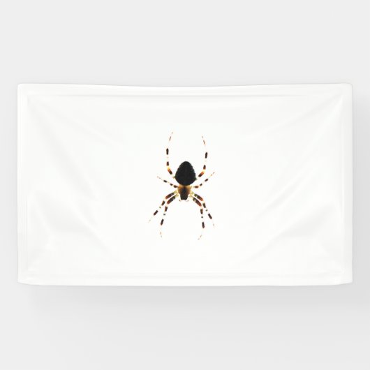 Spider Banner (Horizontal)