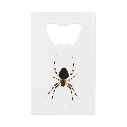 Spider bocnm geldbeutel flaschenöffner (Vorderseite)