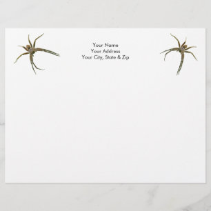 Spider Briefbogen