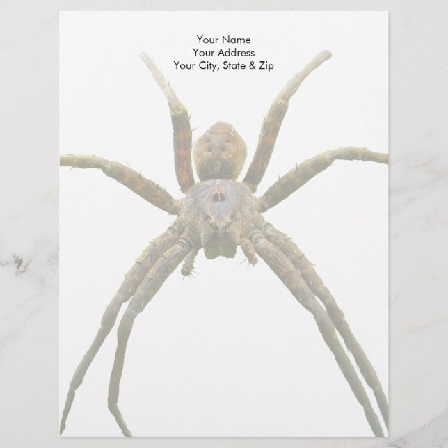 Spider Briefbogen (Vorderseite)