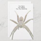 Spider Briefpapier (Vorne/Hinten)