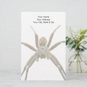 Spider Briefpapier (Stehend Vorderseite)