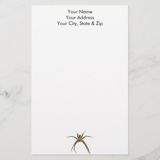 Spider Briefpapier (Vorderseite)