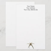 Spider Briefpapier (Vorne/Hinten)