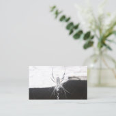 Spider Business Cards Visitenkarte (Stehend Vorderseite)