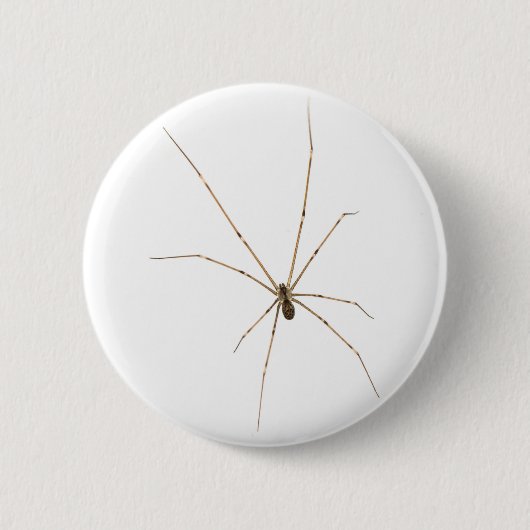 Spider Button (Vorderseite)