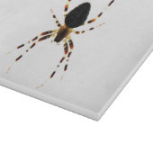 Spider cbcna schneidebrett (Ecke)