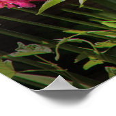 Spider - Charlottes Web Poster (Ecke)