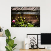 Spider - Charlottes Web Poster (Heimbüro)