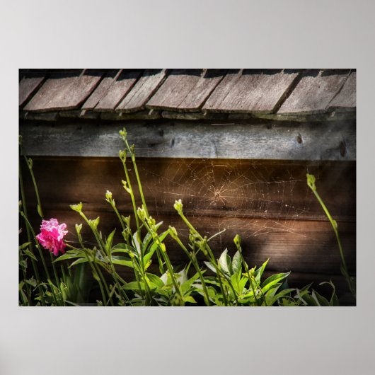 Spider - Charlottes Web Poster (Vorne)