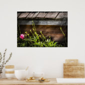 Spider - Charlottes Web Poster (Küche)