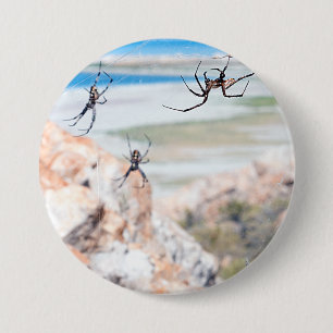 Spider City - Abhängen Button