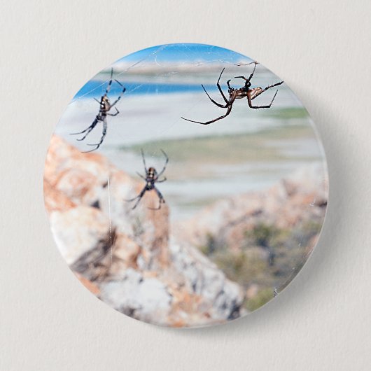 Spider City - Abhängen Button (Vorderseite)