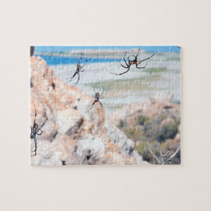 Spider City - Abhängen Puzzle