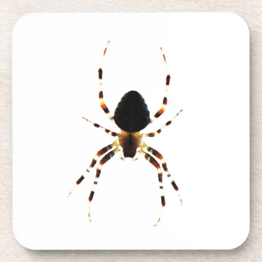Spider Coastercn Beverage Coaster Getränkeuntersetzer (Vorderseite)
