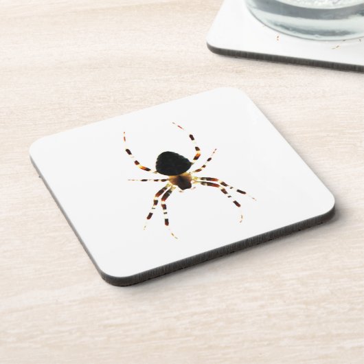 Spider Coastercn Getränkeuntersetzer (Linke Seite)