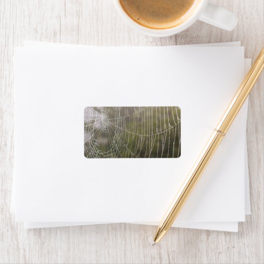 Spider Cobweb Adressaufkleber (Insitu)