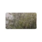 Spider Cobweb Adressaufkleber (Vorne)